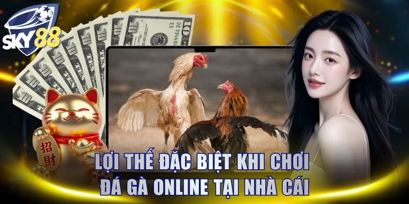 Lợi thế đặc biệt khi chơi đá gà online tại nhà cái