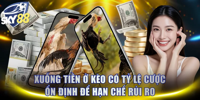 Xuống tiền ở kèo có tỷ lệ cược ổn định để hạn chế rủi ro